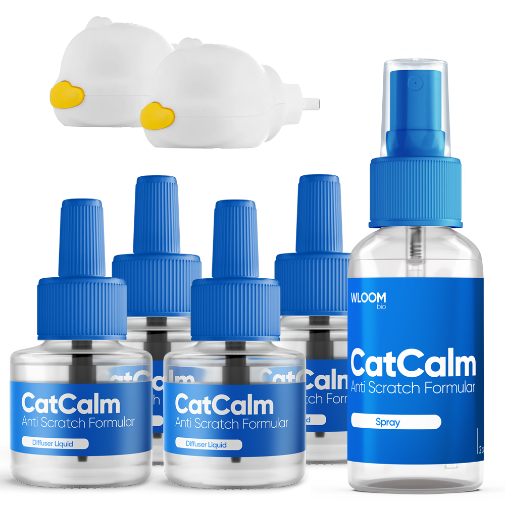 CatCalm Anti Scratch Formula